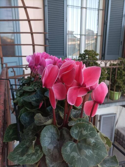 Pane E Tulipani, Cozy Apartment Near City Center Τορίνο Εξωτερικό φωτογραφία